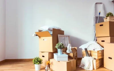 Zeytinburnu Eşya Depolama